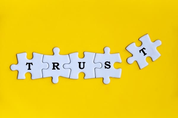 A puzzle with the word trust on it
